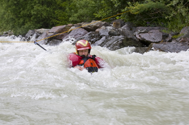 �ffnen Cowtail Finki