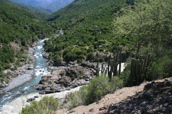 Chile 2008 15