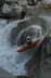 Christian Minkus Achst�rze 0658