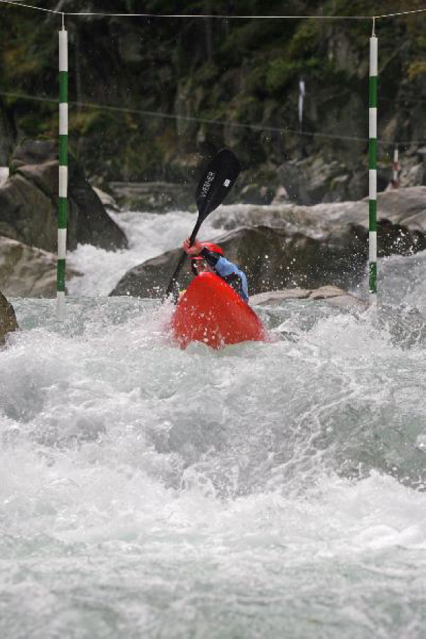 Sick Line Wellerbr�cke 200674