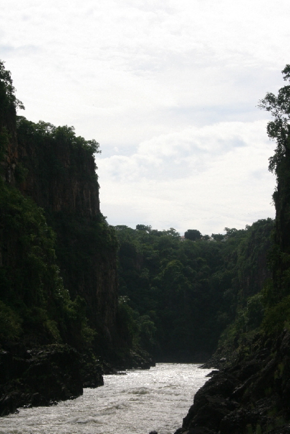 Zambesi 2008  109