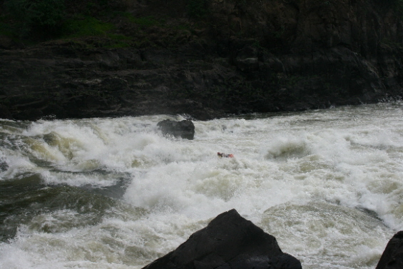 Zambesi 2008  133