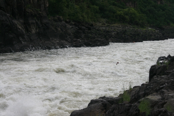 Zambesi 2008  141